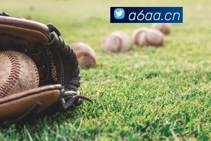 星空体育在线网址平台生态图